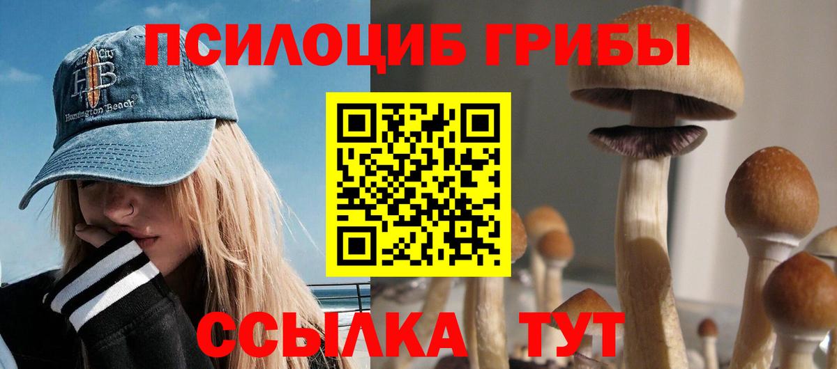 Псилоцибиновые грибы Magic Shrooms Бугуруслан
