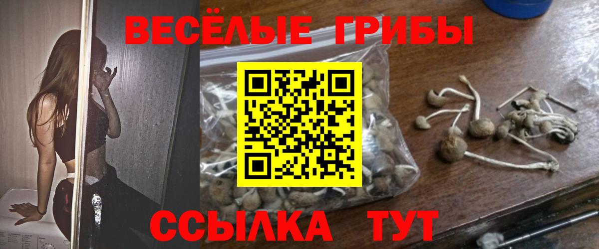 Галлюциногенные грибы Psilocybine cubensis  Вход с VPN  Бугуруслан 
